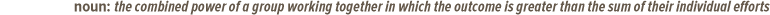 synergy - noun - the combined power of a group working together in which the outcome is greater than the sum of their individual effot